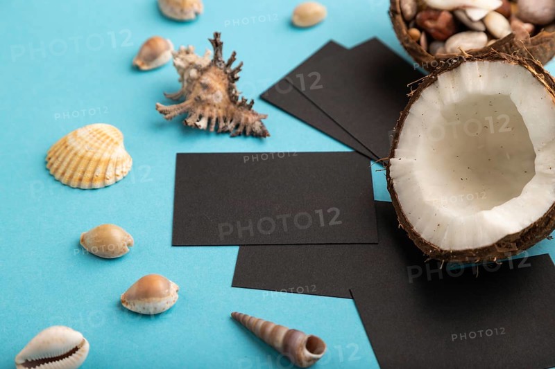 Black paper business card with coconut and seashells on blue pastel background. Side view, copy space. Tropical, healthy food, vacation, holidays concept