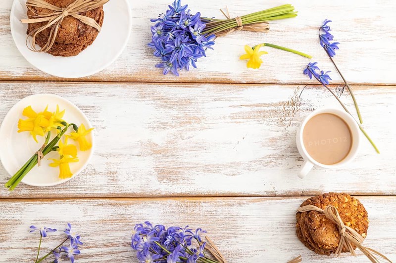 Frame composition with oatmeal cookies, spring snowdrop flowers bluebells, narcissus and cup of coffee on white wooden background. top view, flat lay, copy space, still life. Breakfast, morning, spring concept