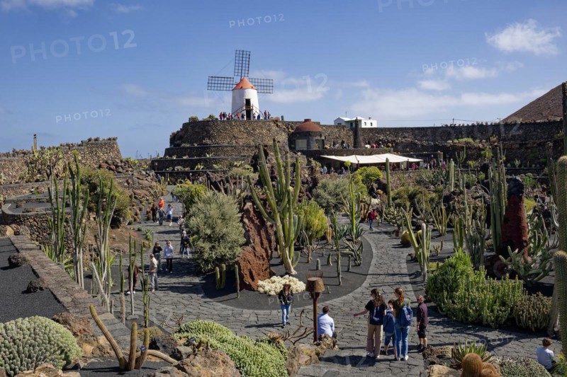 Cactus garden, Jardin de Cactus, designed by the artist César Manrique, behind the restored gofio mill, Lanzarote, Canary Islands, Canary Islands, Spain, Europe