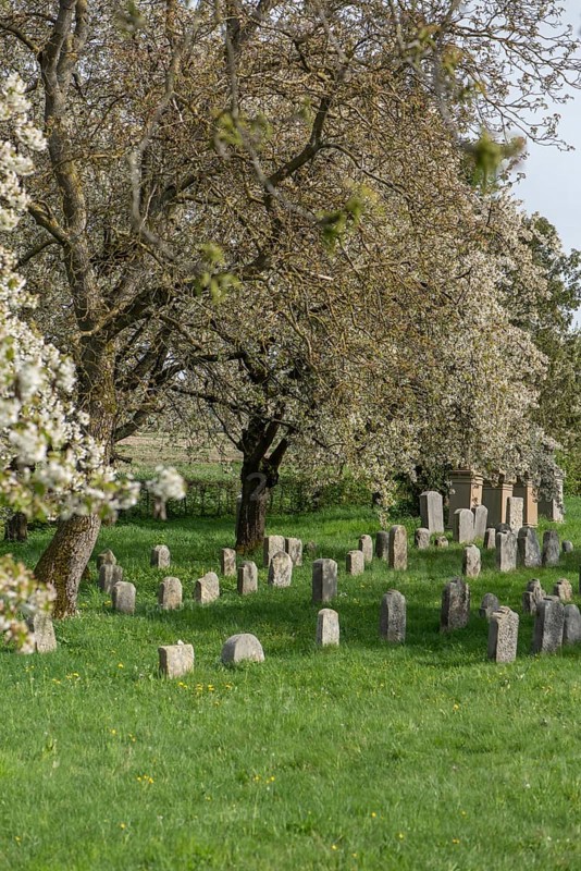 Jewish cemetery, established 1734, last occupancy 1934, Hagenbach, Upper Franconia, Bavaria, Germany, Europe
