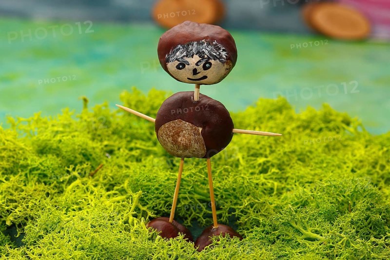 Chestnut figure standing on Iceland moss in the studio, North Rhine-Westphalia, Germany, Europe