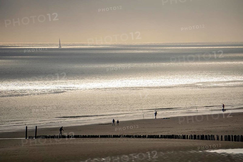 Evening mood on the North Sea beach near Zoutelande, Zeeland, anglers, walkers, breakwater, Netherlands