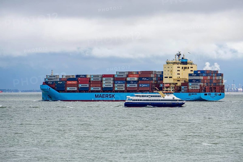 The Danish container ship Vistula Maersk is sailing towards the port of Antwerp, here in the Westerschelde, pier at the harbour of Vlissingen, Westerschelde Ferry, Zeeland, Netherlands