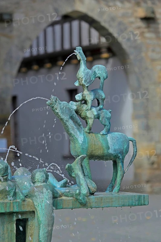 Sculptures at the fountain with Bremen Town Musicians by Karl Lemke 1979, water features, bronze with verdigris, Mettengasse, Erfurt, Thuringia, Germany, Europe