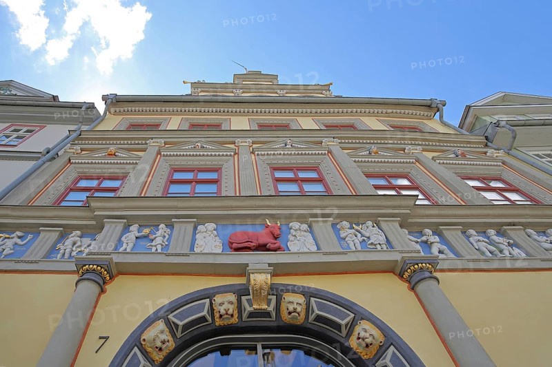 Renaissance Haus Zum Roten Ochsen, relief, sculpture, red ox figure, red, view upwards, perspective, fish market, Erfurt, Thuringia, Germany, Europe