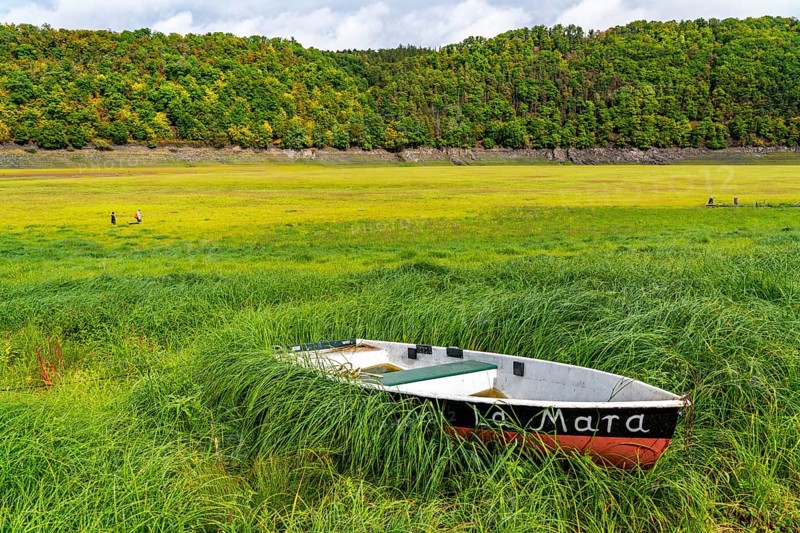 The Edersee, near Waldeck, the third largest reservoir in Germany, is currently only 13% full, the lake was last full in May 2022, dried out due to lack of rain, stranded rowing boat, La Mara, the lake shore and the lake bottom is overgrown with fresh grass, Hesse, Germany, Europe