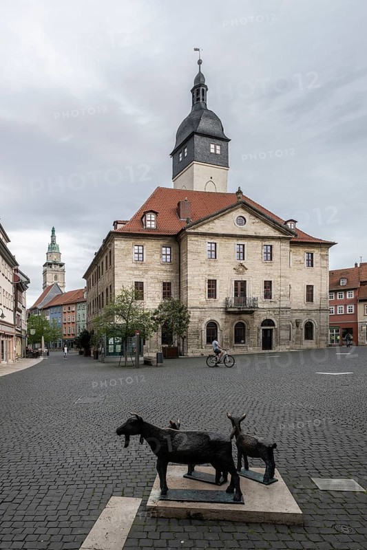Bad Langensalza, historic old town, goat sculptures in front of the town hall, Thuringia, Germany, Europe