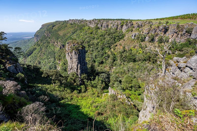 Rock needle in a densely forested canyon, Pinnacle Rock, view over canyon landscape, near Graskop, Mpumalanga, South Africa, Africa