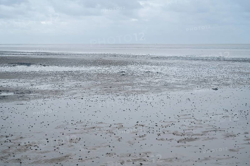 Pile of lugworm, North Sea at low tide, Lower Saxony Wadden Sea National Park, Norddeich, East Frisia, Lower Saxony, Germany, Europe