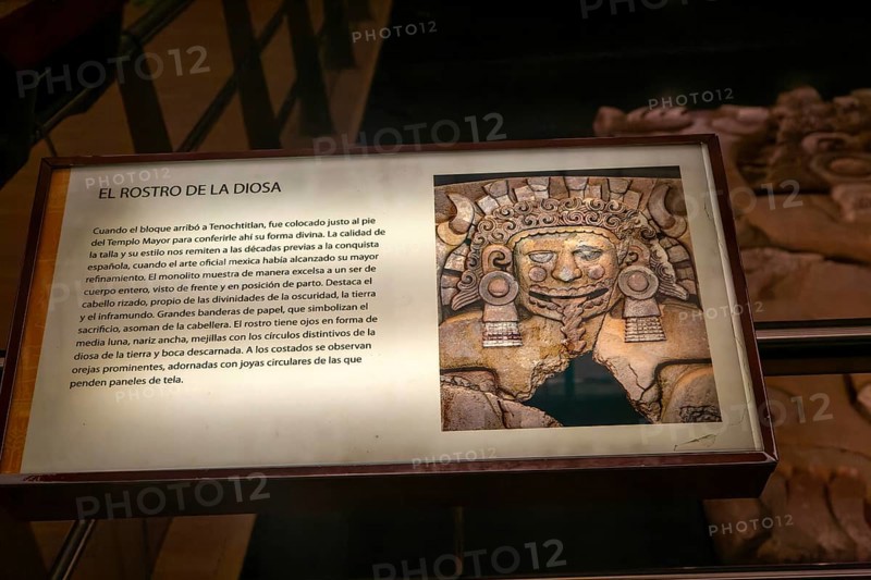 Archaeological site and museum of Templo Mayor, Mexico City, Mexico Monolith relief figure of Tlaltecuhtli, female Earth Lord goddess, museum of Templo Mayor, Mexico City, Mexico, Central America