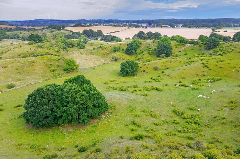 Aerial view over the hills of Brösarps backar, Brösarp's slopes in summer, Skåne län, Skane, Scania, Sweden, Europe