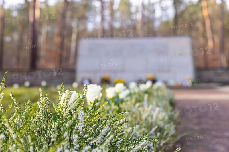On 13 and 14 February 1945, Dresden was heavily destroyed in three Allied bombing raids. Every year, the people of Dresden commemorate this event at various events. Flowers and wreaths are laid at the site of the mass graves of the dead, Dresden, Saxony, Germany, Europe