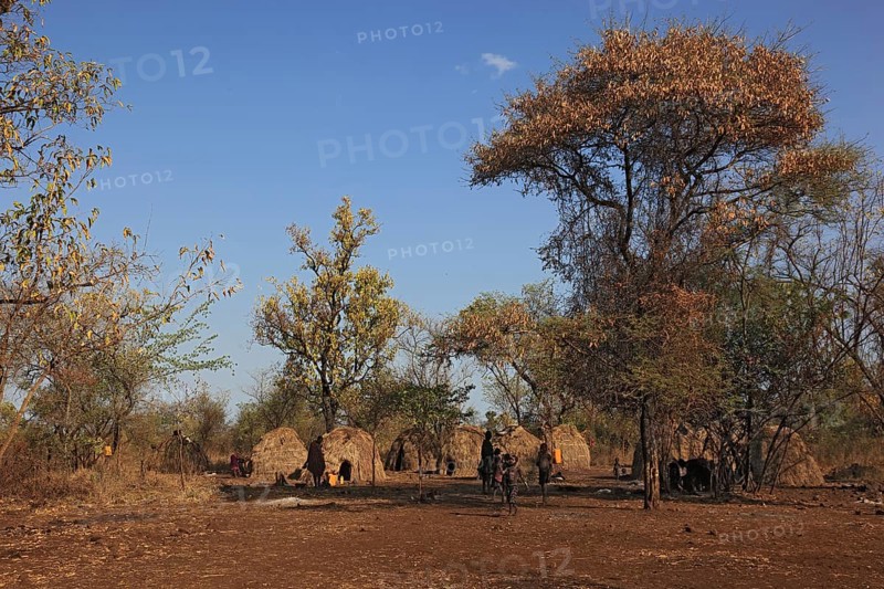 South Ethiopia, in the Maco National Park, in the village of the Mursi, Ethiopia, Africa