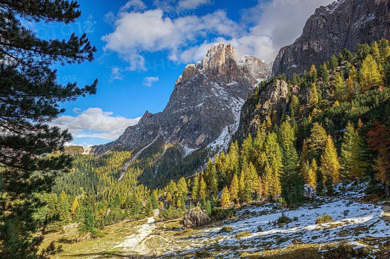 The Sella Group mountain landscape in the Alps with forest and snow under a sunny sky, South Tyrol, Italy, Europe