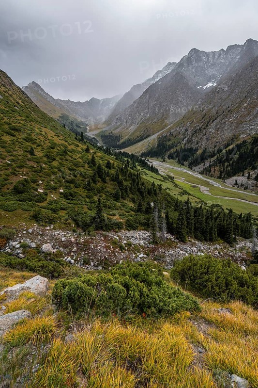 Green mountain valley with river and steep mountain peaks, Chong Kyzyl Suu Valley, Terskey Ala Too, Tien-Shan Mountains, Kyrgyzstan, Asia