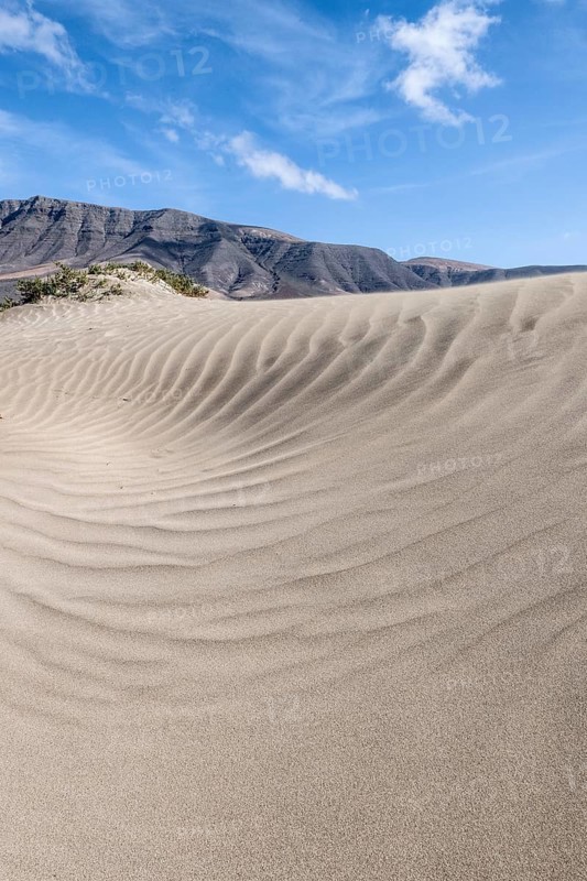 Dune landscape, Playa de Famara, Lanzarote, Canary Islands, Spain, Europe