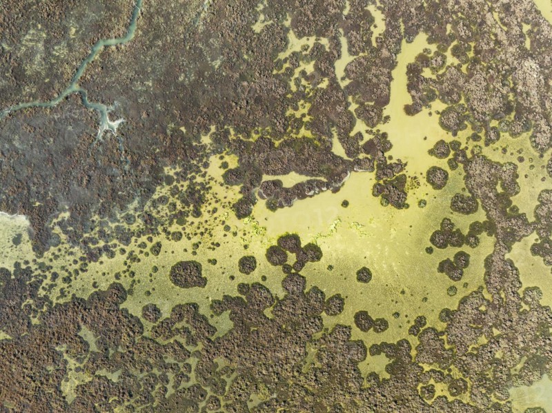 Marshland at low tide. Nature Reserve La Breña y Marismas del Barbate. Aerial view. Drone shot. Cádiz province, Andalusia, Spain, Europe