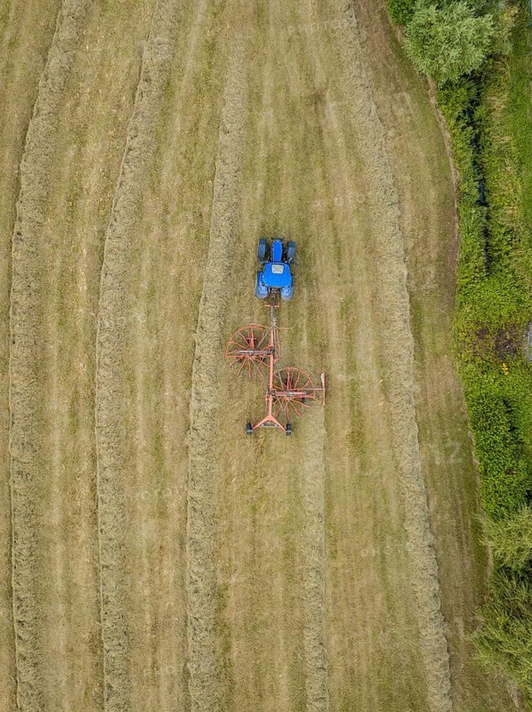 Aerial view of a tractor with a hay tedder working a hay field, surrounded by trees and a country road, Dachtel. Black Forest, Germany, Europe