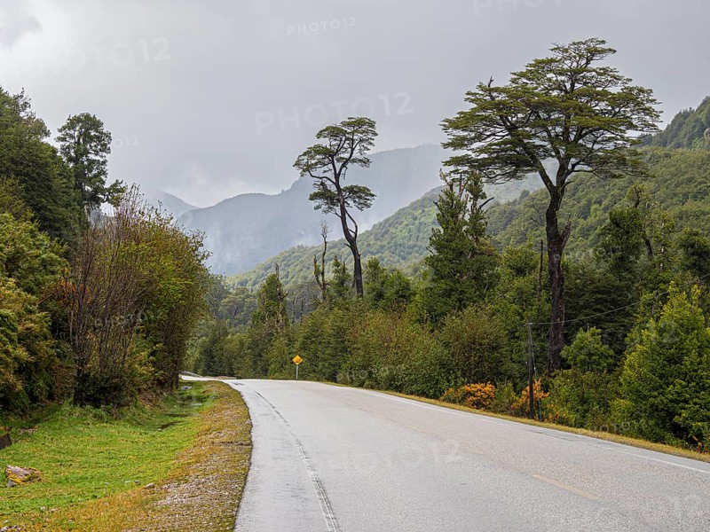 Road Carretera Austral along river Rio Cisnes (not visible), north of viewpoint mirador El Lobo, Patagonia, Chile, South America