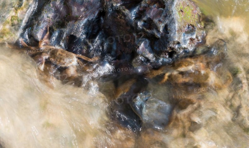 Several chinese mitten crab (Eriocheir sinensis), invasive species, neozoon, crabs, juveniles, cling to a rock on their migration upstream and seek shelter on it, fast-flowing, moving water washes around stones, rapids, motion blur conveys the flow speed, reflections of the sun make the picture look, river, water body, barrage of the Elbe in Geesthacht, wiping effect, long exposure, soft focus, Lower Saxony, Schleswig-Holstein, Germany, Europe