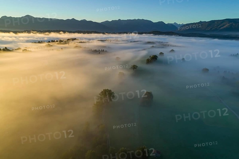Aerial view of meadows and trees in front of mountains, sunrise, fog, autumn, Murnau, Alpine foothills, Upper Bavaria, Bavaria, Germany, Europe