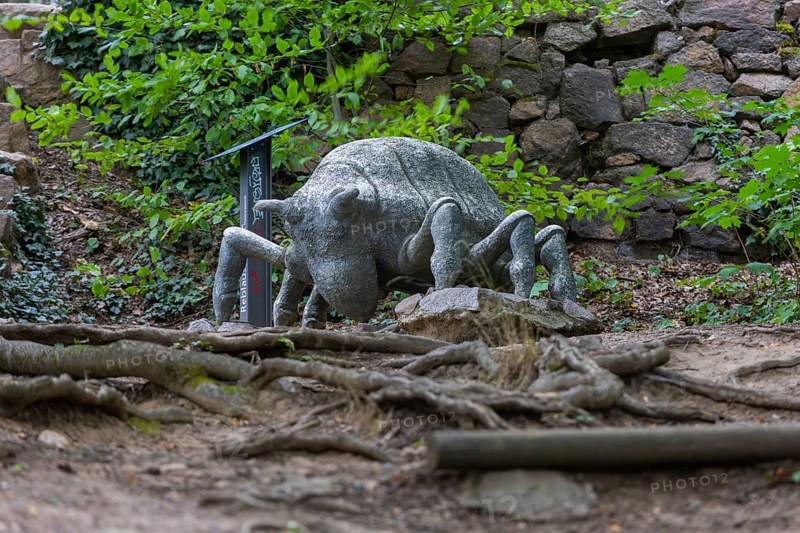 A phylloxera sculpture adorns the Historic Forest Route. Mia Stolle, a student of theatre sculpture at the Dresden University of Fine Arts, created the sculpture from polymer concrete. The phylloxera catastrophe, which peaked in 1904, led to the systematic uprooting and burning of the vines and their stakes. It was only with the grafting of European noble vines onto phylloxera-tolerant American rootstocks that a systematic revival began. The first vineyard in Saxony was replanted in 1907, phylloxera in large format on the wine trail, Radebeul, Saxony, Germany, Europe