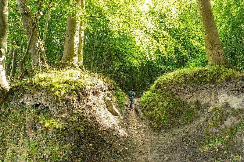 The Hochuferwanderweg from Baabe via Sellin to Binz, through dense beech forest, along the cliffs, with many views of the Baltic Sea, here the section shortly after Sellin on the way to Binz, Mecklenburg-Vorpommern, Germany, Europe