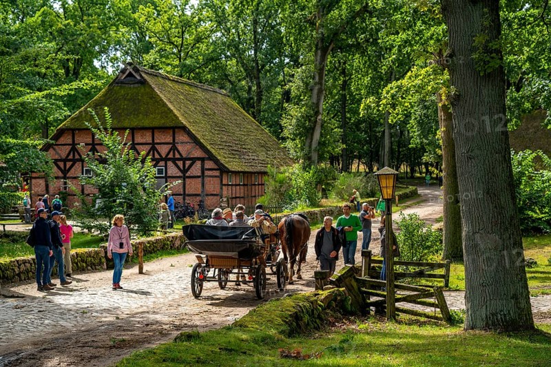 The village of Wilseder, old farms, in the Lüneburg Heath nature reserve, Lower Saxony, Germany, Europe