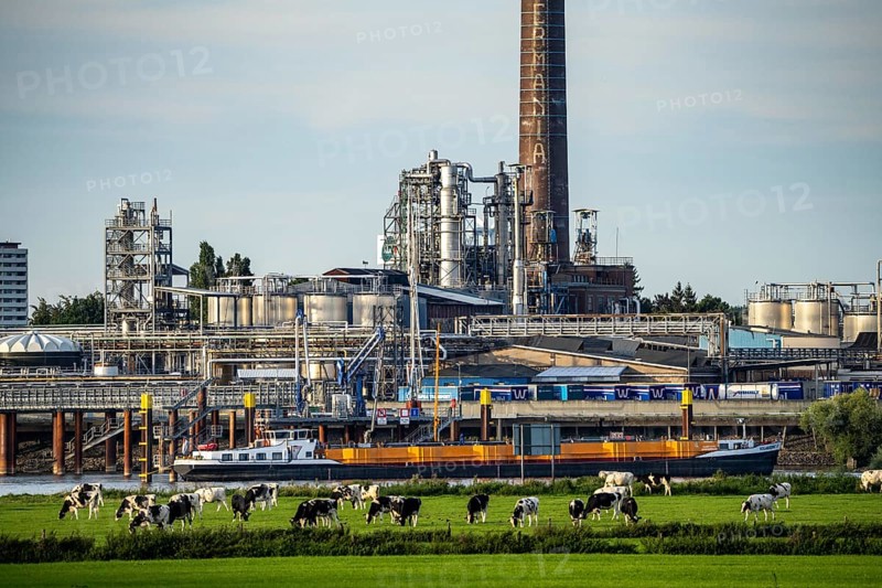 Cargo ship on the Rhine near Emmerich, Kao Chemicals scenery, KLK, Left Rhine pastures, Left Rhine, Lower Rhine, North Rhine-Westphalia, Germany, Europe