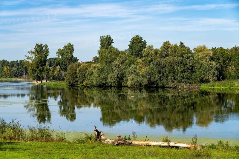 Bislicher Insel nature reserve, near Xanten on the Lower Rhine, floodplain landscape, old Rhine arm, protected habitat for many animal and plant species, North Rhine-Westphalia, Germany, Europe