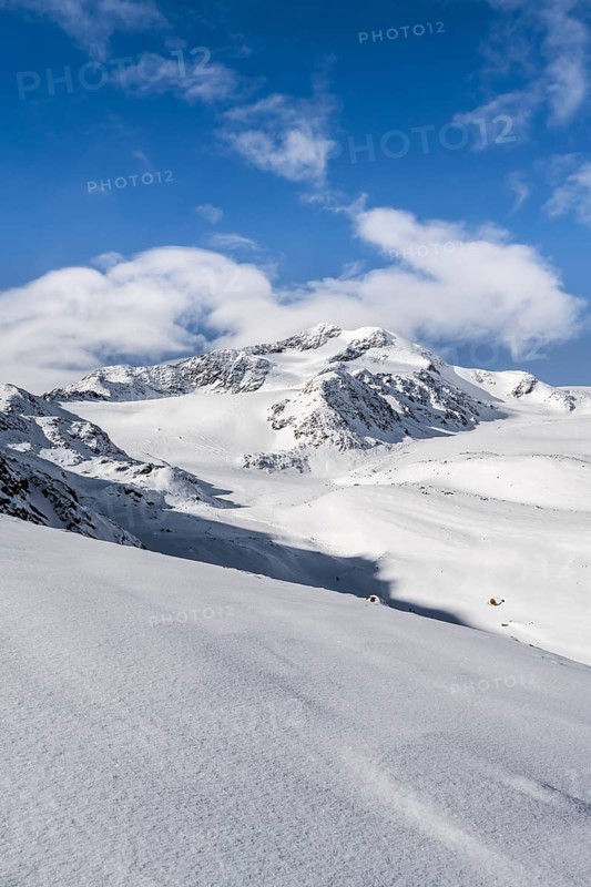 Snow-covered mountain landscape, mountain peak Monte Cevedale and glacier Zufallferner, Ortler Alps, Vinschgau Valley, Italy, Europe