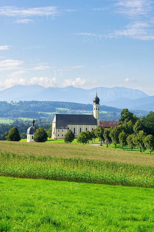 Pilgrimage church of St Marinus and Anian in Wilparting, cornfield, avenue, meadow, municipality of Irschenberg, Oberland, Upper Bavaria, Bavaria, Germany, Europe
