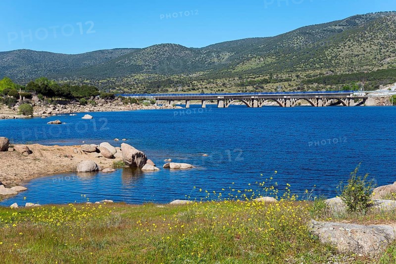 A picturesque lake with a bridge in the background, surrounded by green hills and yellow flowers in the foreground, Burguillo reservoir, Gaznata bridge, Alberche river, Ávila province, Avila, Sierra de Gredos, Spain, Europe