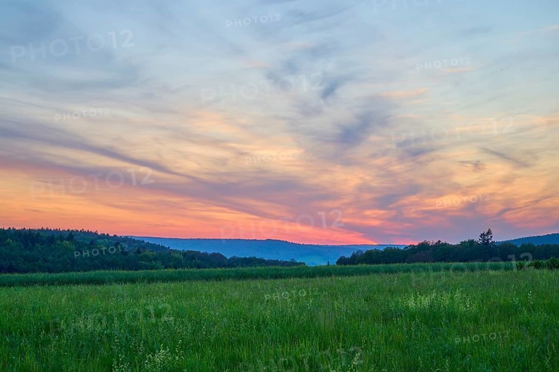 Green field with trees in the background under a dramatically illuminated sunset, the sky is bathed in orange and blue tones, summer, Mönchberg, Mltenberg, Spessart, Bavaria, Germany, Europe