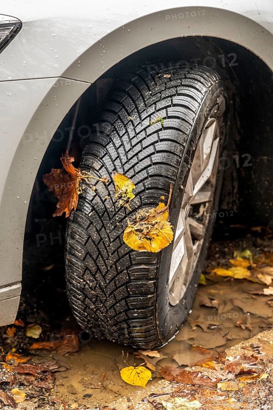Driving on autumn leaves, slippery surfaces, leaves, grip from winter tyres
