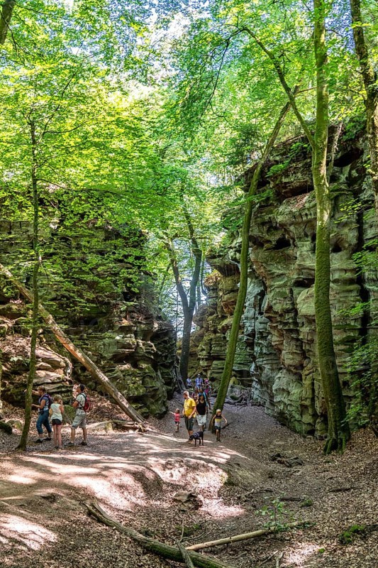 The Devil's Gorge, narrow, accessible gorge of sandstone rocks, with steep rocky gorges, near Irrel, Southern Eifel nature park Park, Rhineland-Palatinate, Germany, Europe