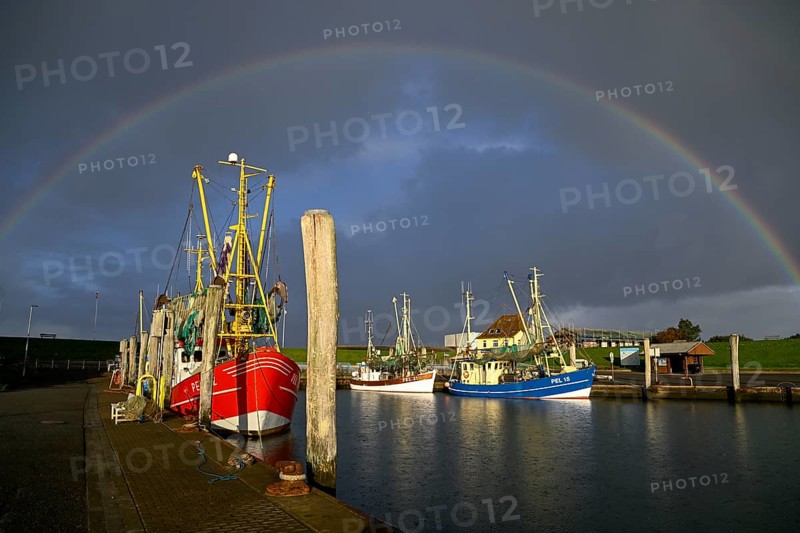 Fishing boats in the harbour of Tammensiel, rainbow, Pellworm Island, Schleswig-Holstein Wadden Sea National Park, North Frisia, Germany, Europe