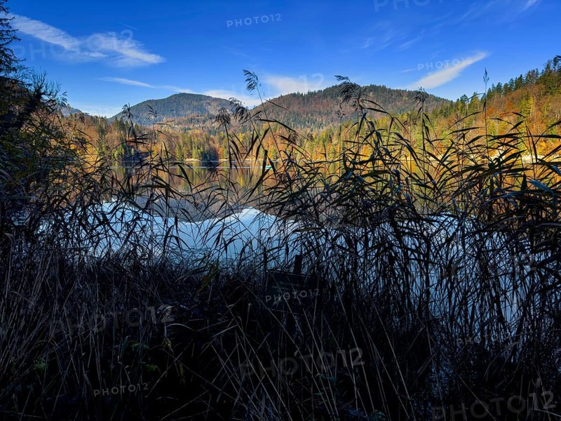 Autumn atmosphere at Hechtsee lake near Kufstein, Tyrol, Austria, Europe