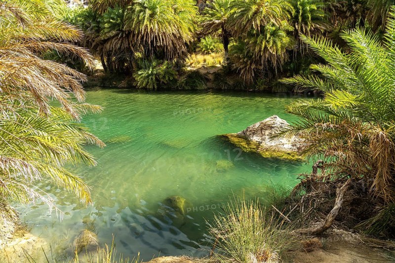 Phoenix theophrasti palms and the river Megalopotamos in the gorge of Preveli, Crete, Greece, Europe