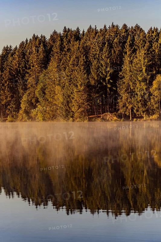 Autumnal morning atmosphere at Schmutter Weiher with fog near Lechbruck, Halblech and Roßhaupten in Allgäu, Bavaria, Germany, Europe