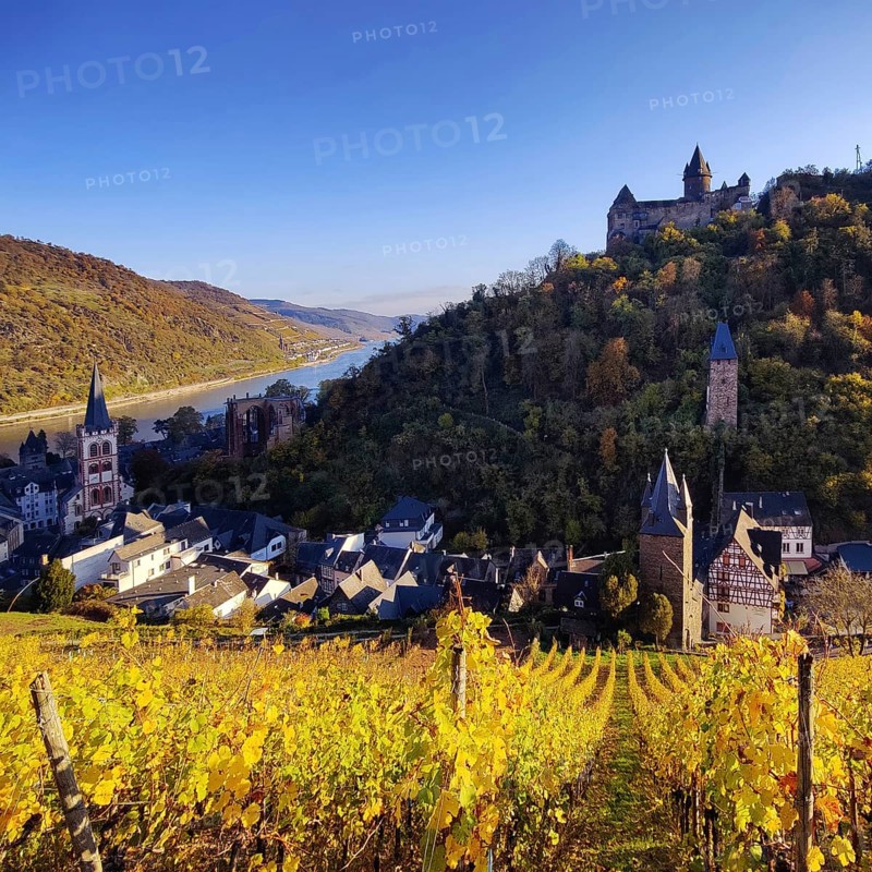 View of Bacharach with Stahleck Castle, hilltop castle above the Rhine, UNESCO World Heritage Upper Middle Rhine Valley in autumn, Rhineland-Palatinate, Germany, Europe