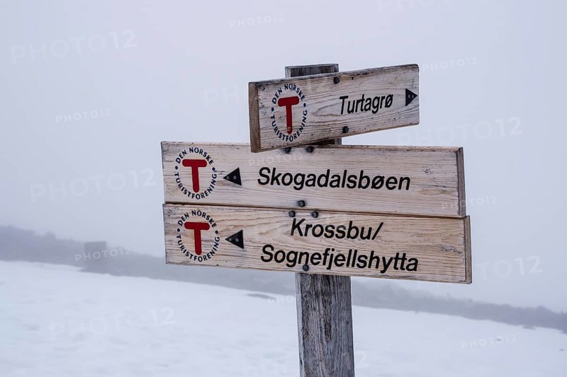 Hiking signpost in the Sognefjell mountain range, directions to Turtagrø, Krossbu, Sognefjellshytta, Skodadalsbøen, Jotunheimen National Park, Norway, Europe