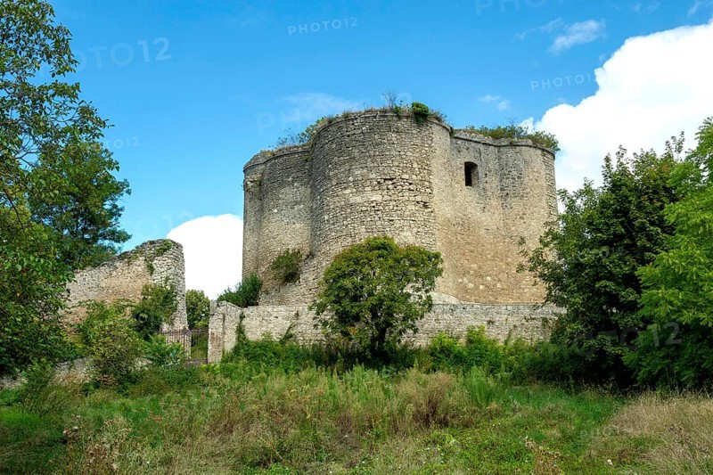 Medieval 13th century castle in Montaigu-le-Blin, showcasing impressive fortifications and surrounding greenery in Allier, Auvergne-Rhone-Alpes, France, Europe