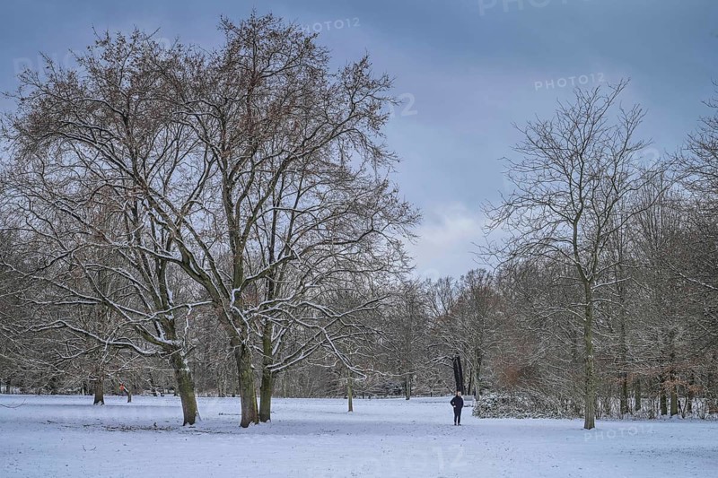 Weather feature, Winter in Charlottenburg Palace Gardens, Berlin, Germany, Europe