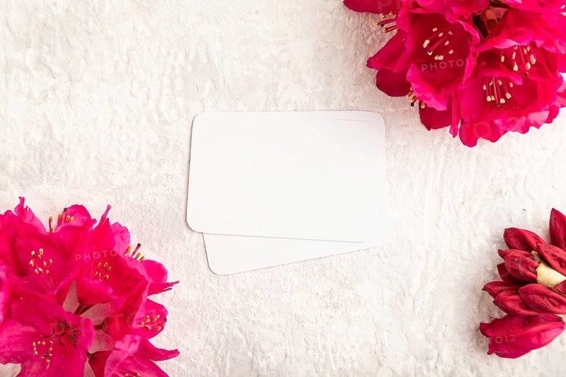 White business card with purple azalea flowers on gray concrete background. top view, flat lay, copy space, mockup, template, spring, summer minimalism concept