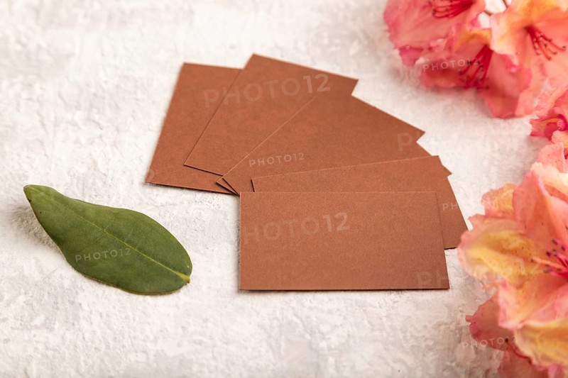 Brown business card with pink azalea flowers on gray concrete background. side view, copy space, mockup, template, spring, summer minimalism concept