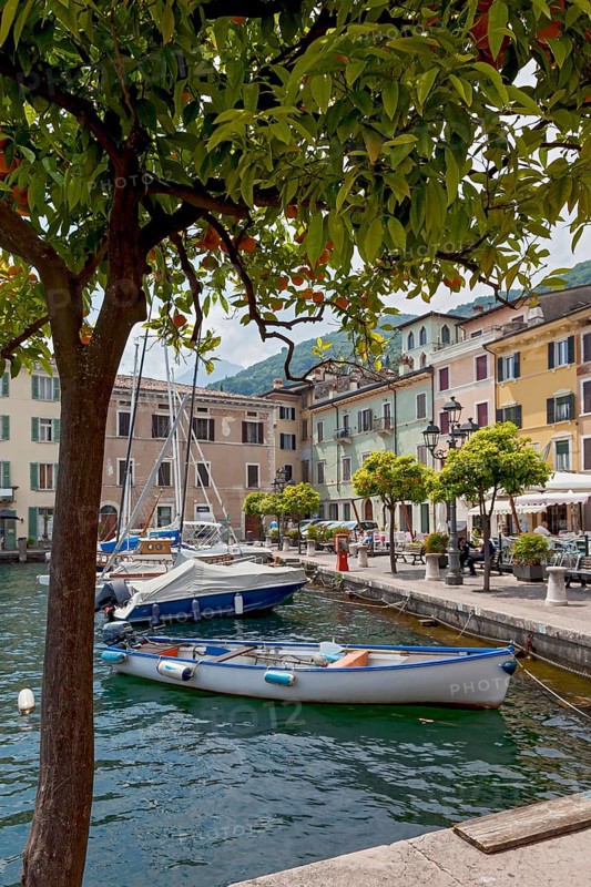 Boats in the harbour of Gargnano, Lake Garda, Province of Brescia, Lombardy, Italy, Europe