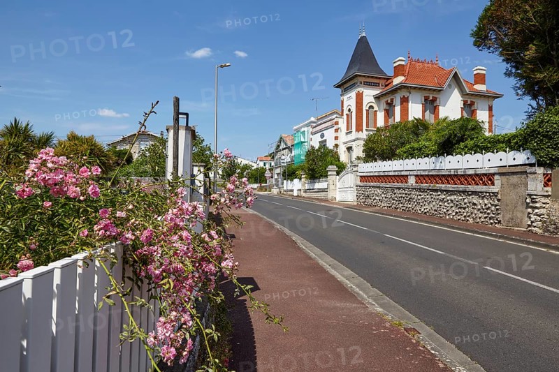 Magnificent residential building and white fence with french rose (Rosa gallica) on a street in Saint-Palais-sur-Mer, Département Charente-Maritime, Nouvelle-Aquitaine, France, Europe