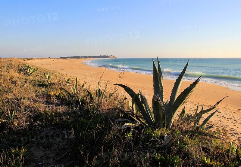 Sandy beach and lighthouse at Cabo de Trafalgar, Cadiz Province, Spain, Europe