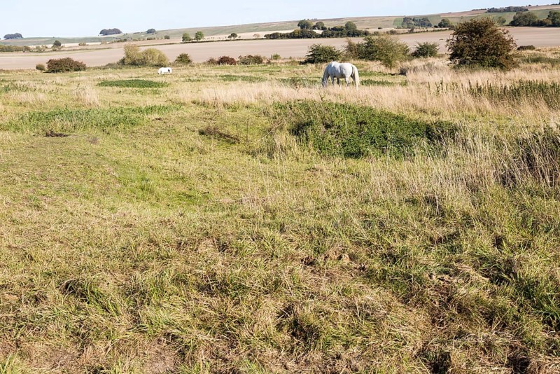 Richardson deserted medieval village, Berwick Bassett, Wiltshire, England, UK
